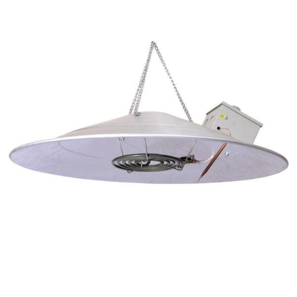Poultry Farm Electric Brooder with Fan