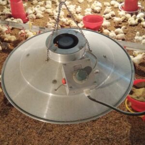 Poultry Farm Electric Brooder with Fan